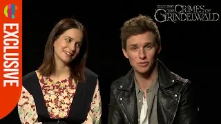 Amazing Fantastic Beasts 2 Actors Q&A