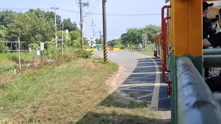 台南 烏樹林 五分車