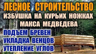 КАК ПОСТРОИТЬ ДОМ В ЛЕСУ СВОИМИ РУКАМИ БЕСПЛАТНО. Изба в лесу - строительство в одиночку. Бушкрафт.