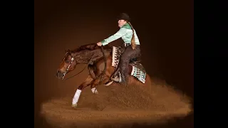 Full show run - SKEETS WHIZARD ridden by AMY R STONEY    2017 AQHA World Show Am  Reining FINALS