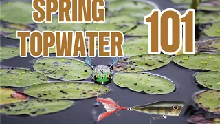 How to catch GIANT spring BASS on TOPWATER!