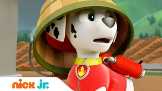 Щенячий патруль | Спасательные операции на суше - часть 1 | Nick Jr. Россия