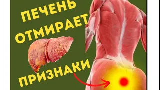 13 РАННИХ ПРИЗНАКОВ, ЧТО ВАША ПЕЧЕНЬ ОТМИРАЕТ! 90% ДАЖЕ НЕ ЗАДУМЫВАЛИСЬ ОБ ЭТОМ…