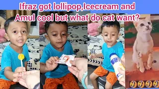 Ifraz got lollipop,Amul cool, and Icecream but what do cat want 🤔 #youtubeshorts #youtubevideo