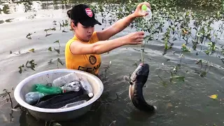 Amazing FISH TRAP with SNAKE