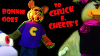 FNaF Plush -  Bonnie Goes to Chuck E. Cheese's