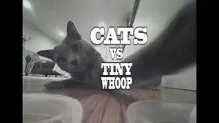 Cats VS Tiny Drones - Kitties of the World VS Tiny Whoop - When Cats Attack Compilation