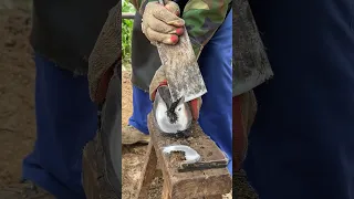 Awesome hoof trimming video!丨ASMR丨Donkey hoof cutting sound