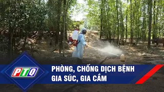 Quảng Ngãi: Phòng, chống dịch bệnh gia súc gia cầm