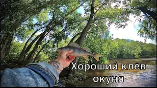 Рыбалка на спиннинг. Ловля окуня на Десне. Окунь на силикон. #рыбалка #рыбалкаукраина