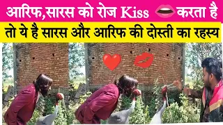 आरिफ सारस को रोज KISS करता है😱 || Saras aur arif ki dosti Viral Video || Saras viral video amethi