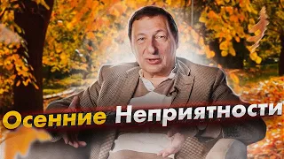 Осенние Неприятности. Домашний стрим (Борис Кагарлицкий, Кот Степан)