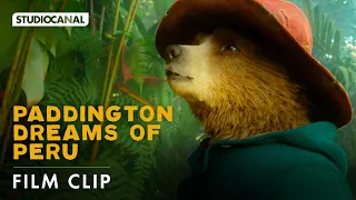 Paddington | Paddington dreams of Peru | Paddington Movie