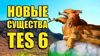 Новые существа THE ELDER SCROLLS 6 - ГРИФФОН в TES 6