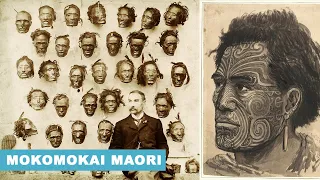 La Storia dei Mokomokai Maori e della Collezione di Gordon Robley