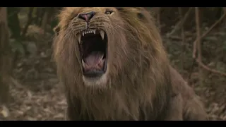 Coming 2 America (2021) - Prince Retrieves Whiskers From a lion Scene