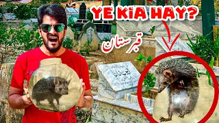 KANTAY WALE CHOHE NE ATTACK KRDIA🦔| RELEASED IN QABRUSTAN | MISHKAT KHAN | THE FUN FIN