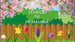 Flori de primăvară - prezentare|Ghiocelul-scurtă prezentare | Despre florile de primăvară|