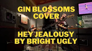 Gin Blossoms Cover-  Hey Jealousy by Bright Ugly