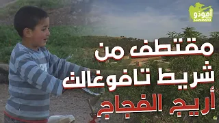 🌍Extrait Amouddou tafoughalt 02 / أمودّو/ مقتطف من شريط تافوغالت، أريج الفجاج