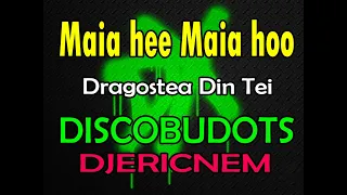 Dragostea Din Tei Remix | DiscoBudots | Dj Ericnem