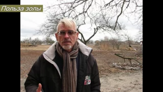 Зола. Применение в саду и огороде.