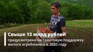 Правительство: свыше 13 млрд руб. предусмотрено на поддержку агробизнеса