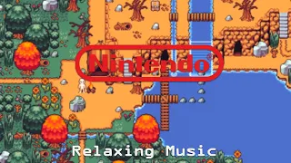 Calm & relaxing Nintendo video game music for study, sleep, work.