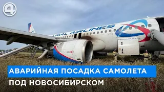 Экстренная посадка самолета Сочи-Омск под Новосибирском. Что случилось на самом деле?