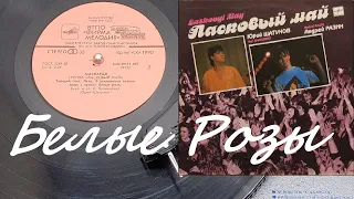 ЛАСКОВЫЙ МАЙ - Белые розы (1989) VINYL-Rip 4K