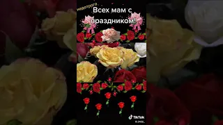 Всех мам с праздником.