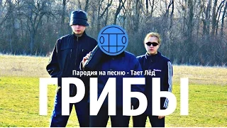 Нетребушка і Тітовушка feat. Шишман - Тает Лёд (ПАРОДІЯ НА КЛІП 2017)