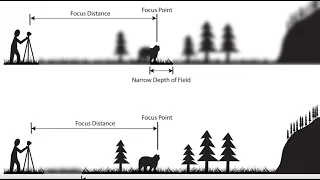 Depth of Field: An Easy Overview (2023)