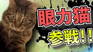 爆笑おもしろネコ🐱🐱🐱全員参戦!!　Part15