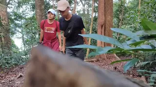 Hiking Tangga Kenari 1000 Tahun x Titi Hayun