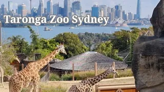 Taronga Zoo Sydney, Australia 4K
