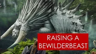 Why the Bewilderbeast is HUGE: THEORY [Trader Johann l How To Train Your Dragon]