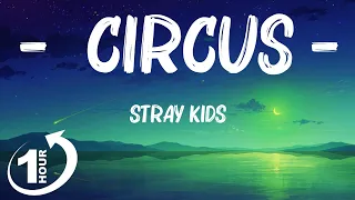 [ Loop 1Hour ]  Stray Kids - CIRCUS (Lyrics)