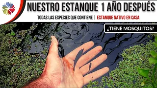 💦 PASEO por el ESTANQUE NATIVO con 🐟 PECES que COMEN MOSQUITOS a 1 año y 4 meses de su construcción.