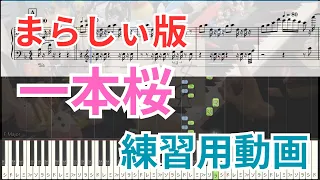 【練習用】まらしぃ版「一本桜」｜ゆっくり＋ドレミ付き【ピアノ楽譜】