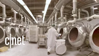 Jelly Beans: How It's Made (Entire Jelly Belly Factory Insider Tour) 🍬