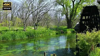 4K  Azumino in April and May that you should visit at least once. / Water scenery in spring season.