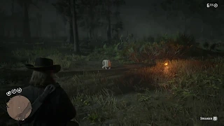 Red Dead Redemption 2 - Crying Swamp Woman