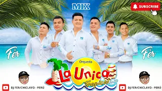 La Unica Tropical Mix (Partido En Dos, Si Esta Casa Hablara, Te Burlaste De Mi, Mas) Dj Fer.