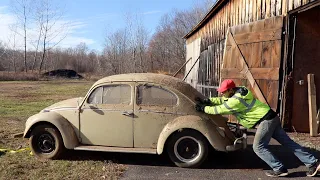 Cleaning the Nasty Forgotten Barn Find VW Beetle - What's inside ?