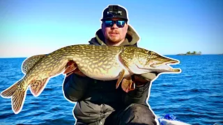 Unveiling the Secrets: 2 Baits that Always Work for Big Pike Trolling