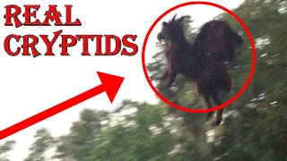 Top 10 Real Cryptids