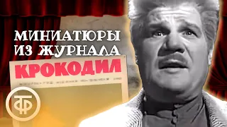 Короткие истории, или Несколько улыбок по разным поводам. 3 серия (1964)