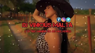 Ela traiu - Forró do HF Biu do piseiro ( DJ Vinicius Malta )