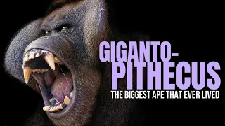 Gigantopithecus - the Biggest Ape That Ever Lived ~ with Andrew Holmes